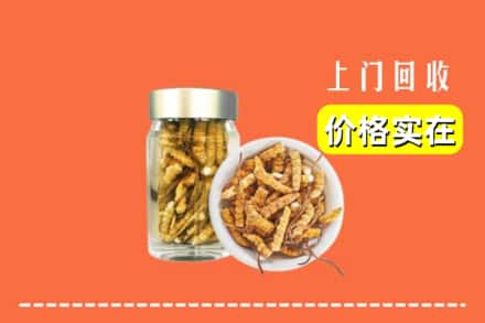 收购资讯:丁青县回收散虫草