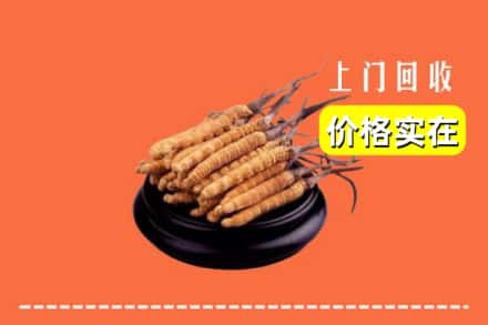 丁青县回收冬虫夏草