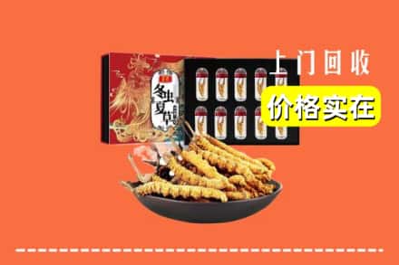 丁青县回收虫草